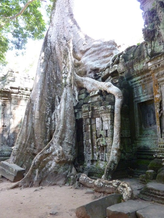 Description: Description: Description: Description: Description: Description: C:\Users\KatyPeter\Pictures\Photos\2011-11 Cambodia & Laos\low res2\Cambodia_117.jpg