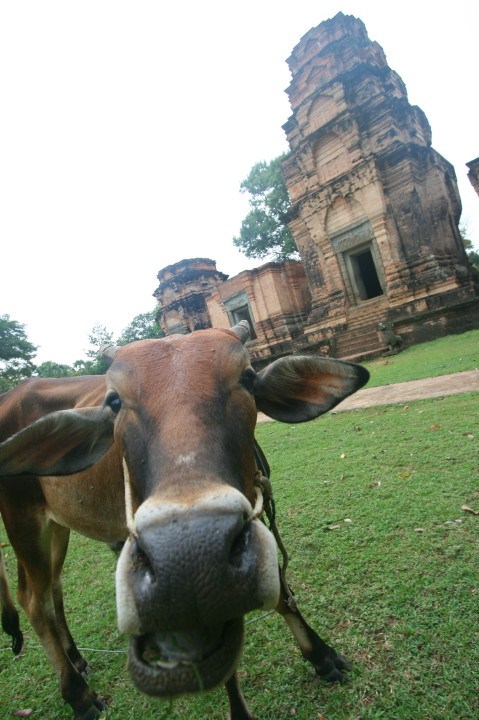 Description: Description: Description: Description: Description: Description: C:\Users\KatyPeter\Pictures\Photos\2011-11 Cambodia & Laos\low res2\Cambodia_154.jpg