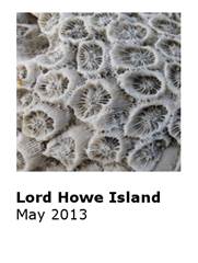 1315 Lord Howe