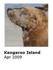0904 Kangaroo Island