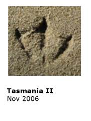 0611 Tasmania 2