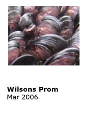 0603 Wilsons Prom