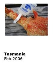 0602 Tasmania