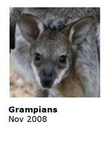 0811 Grampians